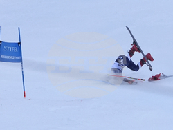 Alpine Skiing World Cup