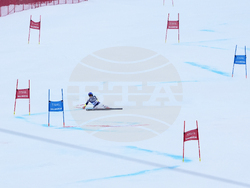 Alpine Skiing World Cup