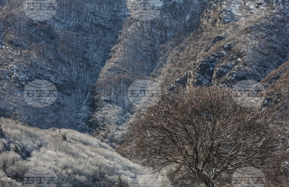 Село Ковачевица - ежедневие