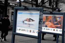 Бургас - фотоизложба