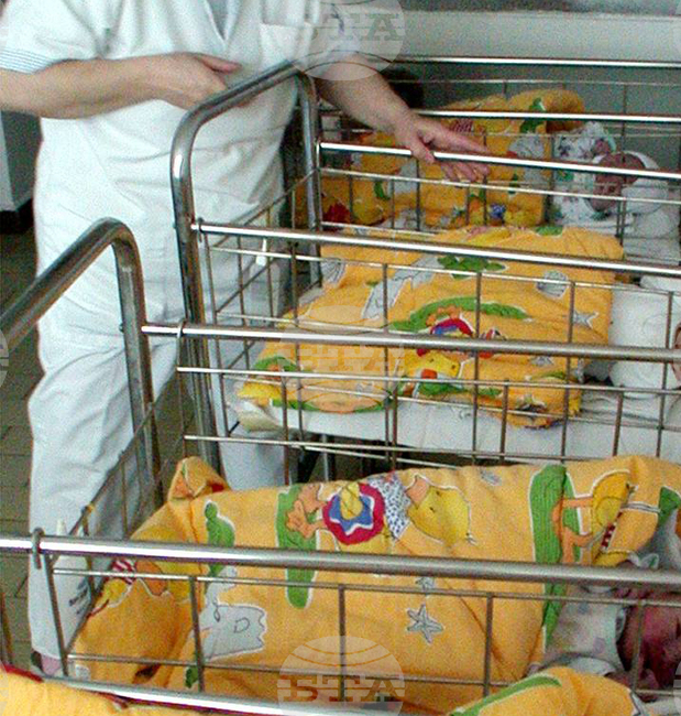 За 10 години с помощта на общинската инвитро програма във Варна са родени 317 бебета