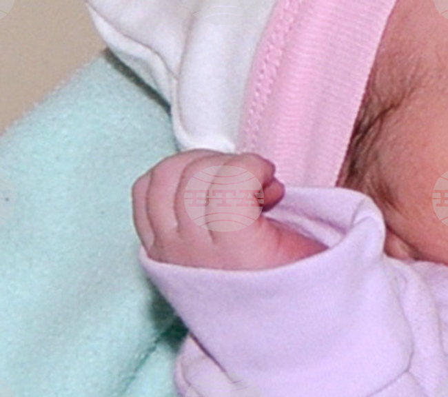 Община Русе организира прием на документи на кандидати по програмата "Асистирана репродукция"