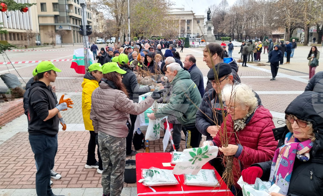 Раздават 20 000 безплатни фиданки в Хасково
