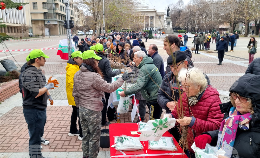 Хасково - фиданки - раздаване