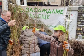 Хасково - фиданки - раздаване