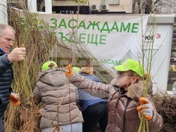 Хасково - фиданки - раздаване