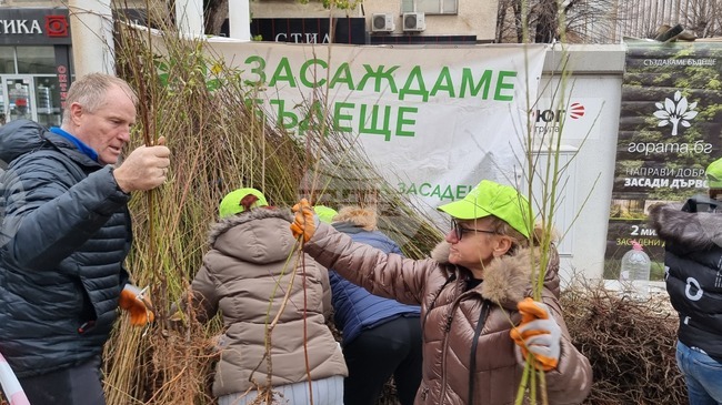 Раздават 16 000 безплатни фиданки в Димитровград утре