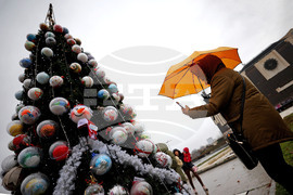 Коледна елха - деца - София