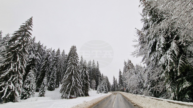 Отпадна ограничението за движение на товарни автомобили с ремаркета през прохода Рожен