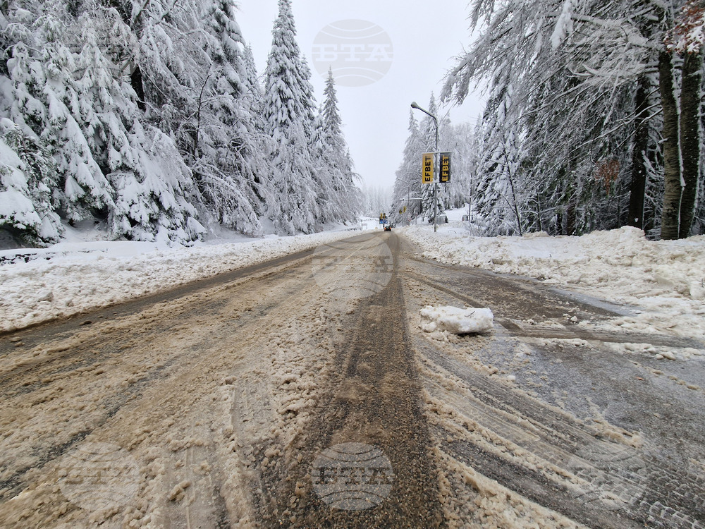 Закъсал тир затруднява движеното на пътя от прохода Рожен към село Проглед