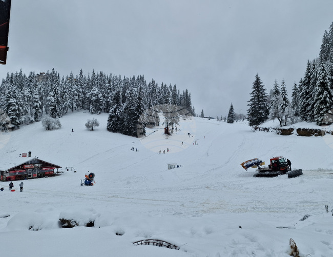 Не са добри условията за туризъм в планините, съобщиха от Планинската спасителна служба на БЧК