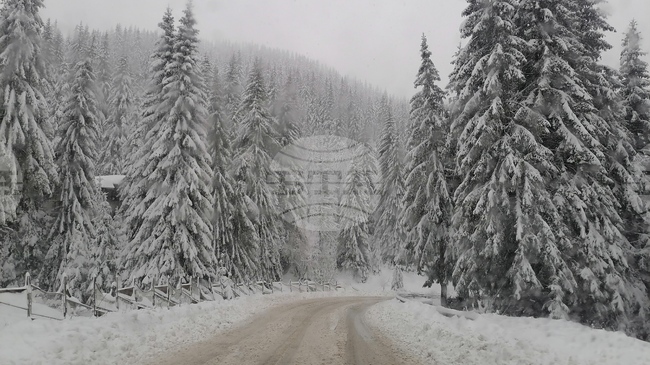 Prevala and Troyan Mountain Passes Temporarily Closed Due to Heavy Snowfall
