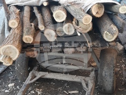 Снимка: Изпълнителна агенция по горите -  Горските инспектори от РДГ-Пловдив задържаха 15 кубика дърва за огрев.