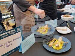 Варна - Никулден - кулинарен фестивал
