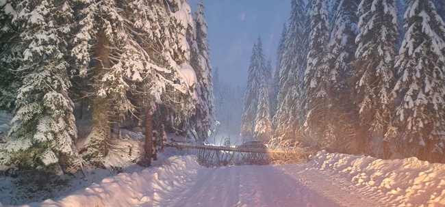 Челна катастрофа между два автомобила е станала на пътя Смолян – Пампорово, няма сериозно пострадали