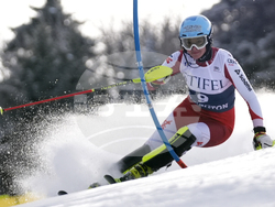 Alpine Skiing World Cup