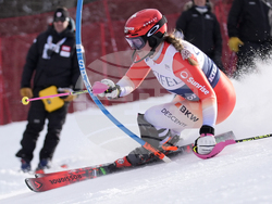 Alpine Skiing World Cup