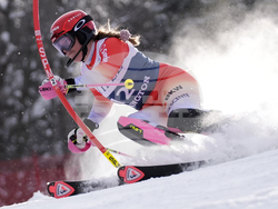Alpine Skiing World Cup