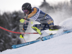 Alpine Skiing World Cup
