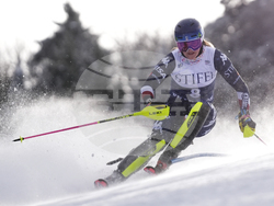 Alpine Skiing World Cup