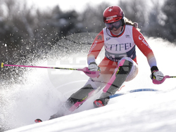 Alpine Skiing World Cup
