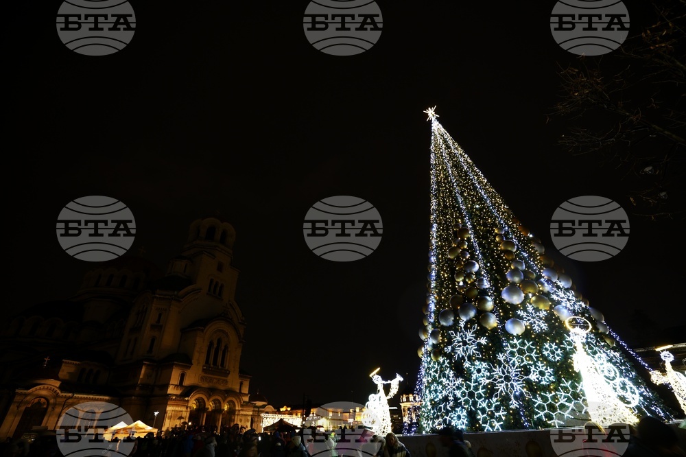 Коледна елха - светлини - запалване