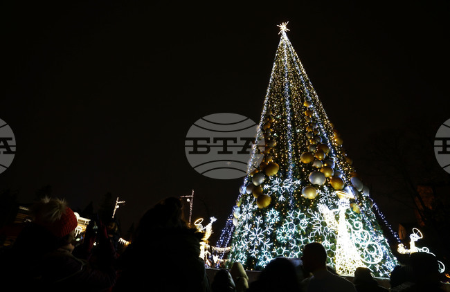 Светлините на коледната елха в София ще грейнат тази вечер