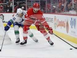 Canucks Red Wings Hockey