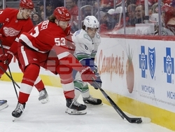 Canucks Red Wings Hockey