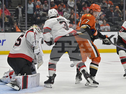 Senators Ducks Hockey