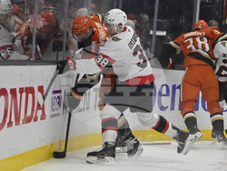 Senators Ducks Hockey