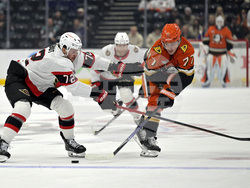 Senators Ducks Hockey
