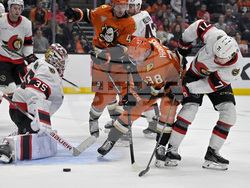 Senators Ducks Hockey