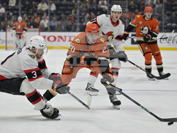 Senators Ducks Hockey