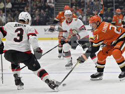 Senators Ducks Hockey