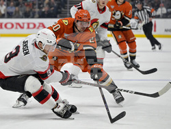 Senators Ducks Hockey