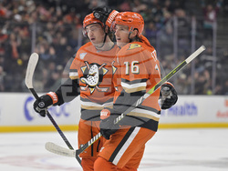 Senators Ducks Hockey