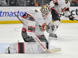 Senators Ducks Hockey