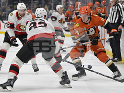 Senators Ducks Hockey
