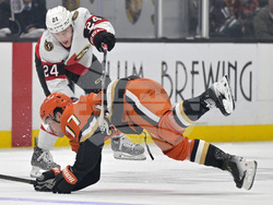 Senators Ducks Hockey
