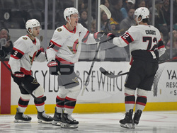 Senators Ducks Hockey