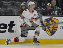 Senators Ducks Hockey