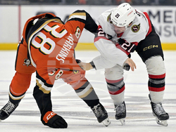 Senators Ducks Hockey