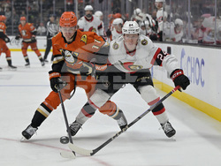 Senators Ducks Hockey