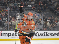 Senators Ducks Hockey