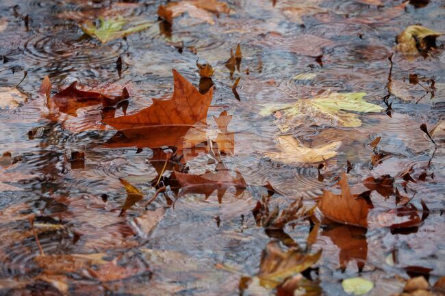 Прогноза за времето