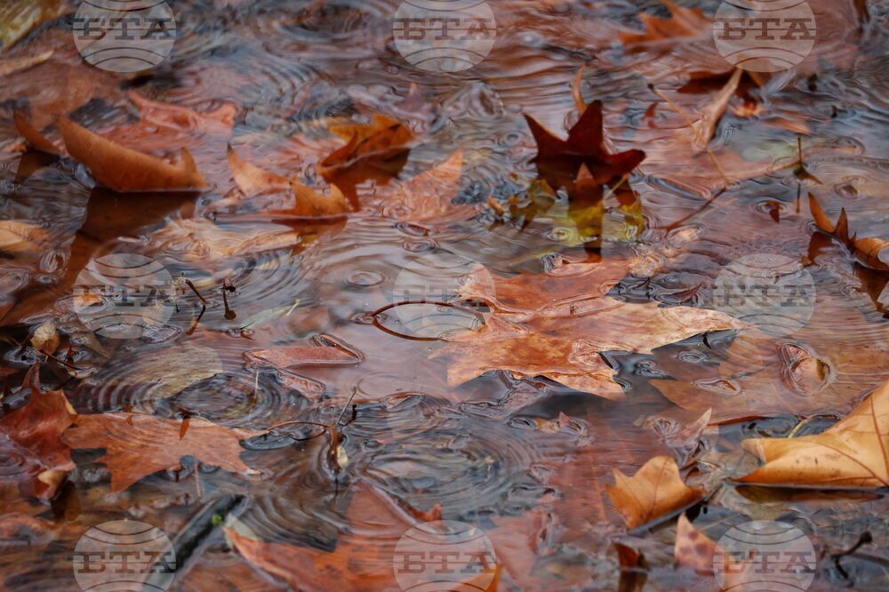 The Weather on September 29