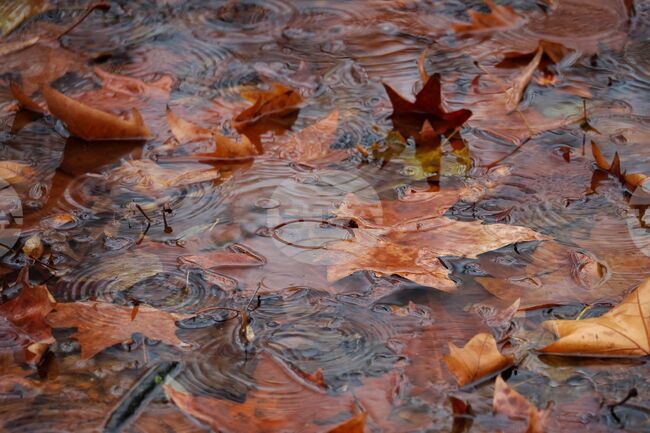 The Weather on September 29