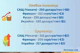Световни борси - зърнени стоки през седмицата 25-29 ноември