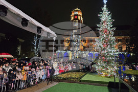 Плевен - коледна елха - площад